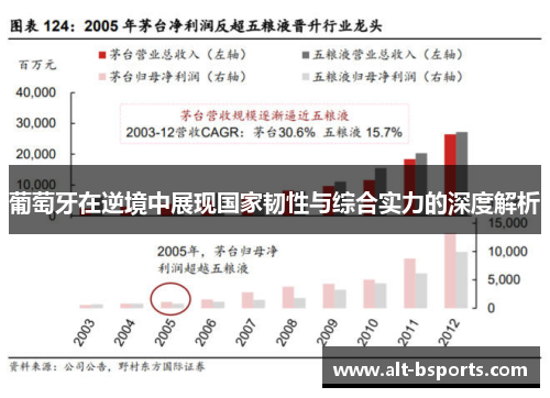 葡萄牙在逆境中展现国家韧性与综合实力的深度解析