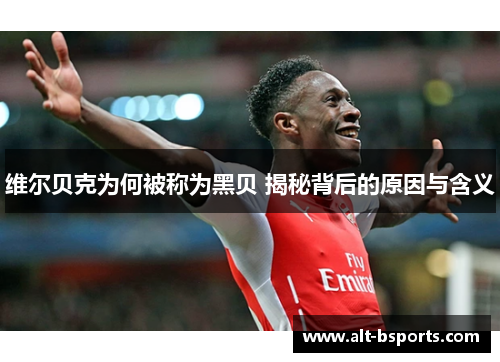 维尔贝克为何被称为黑贝 揭秘背后的原因与含义